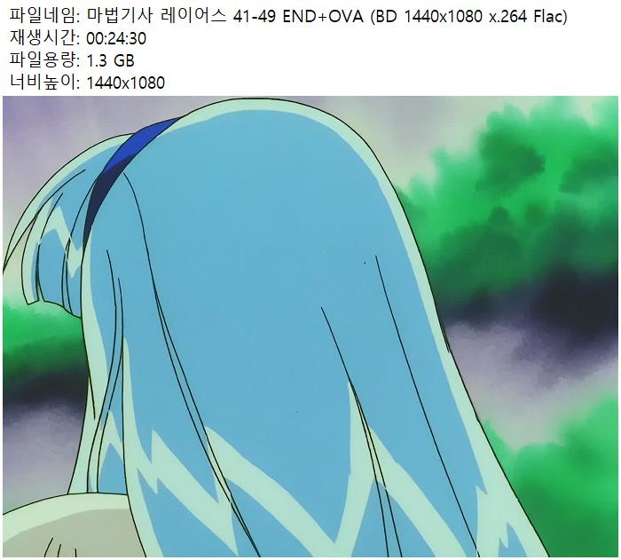 일반 마법기사 레이어스 41-49 END+OVA (BD 1440x1080 x.264 Flac)