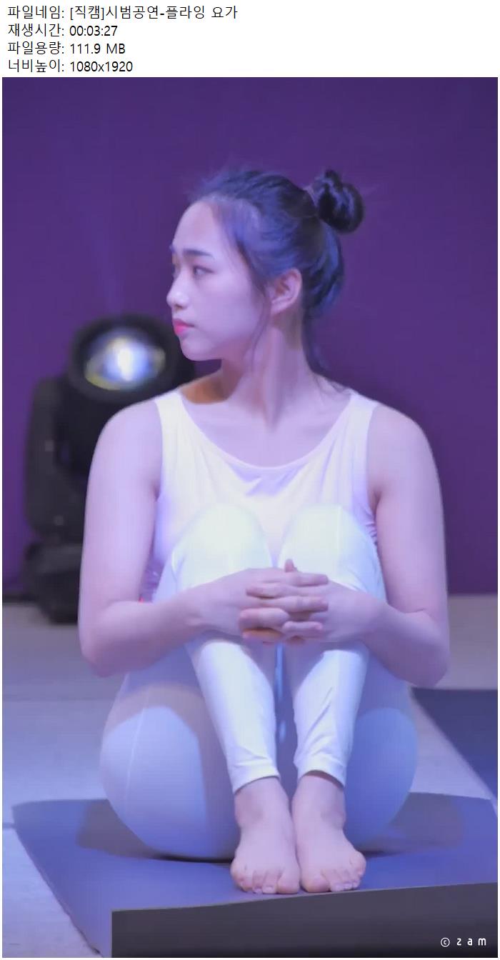 [직캠]시범공연-플라잉 요가