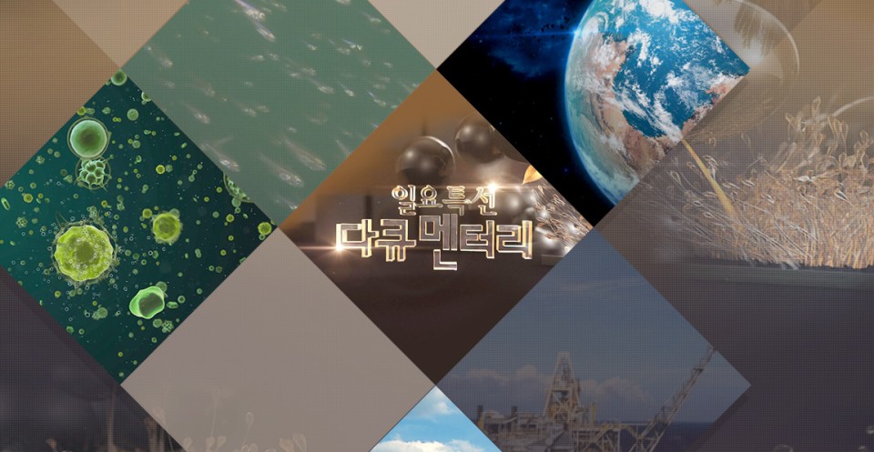 일요특선 다큐멘터리.E444.260426.720p-NEXT