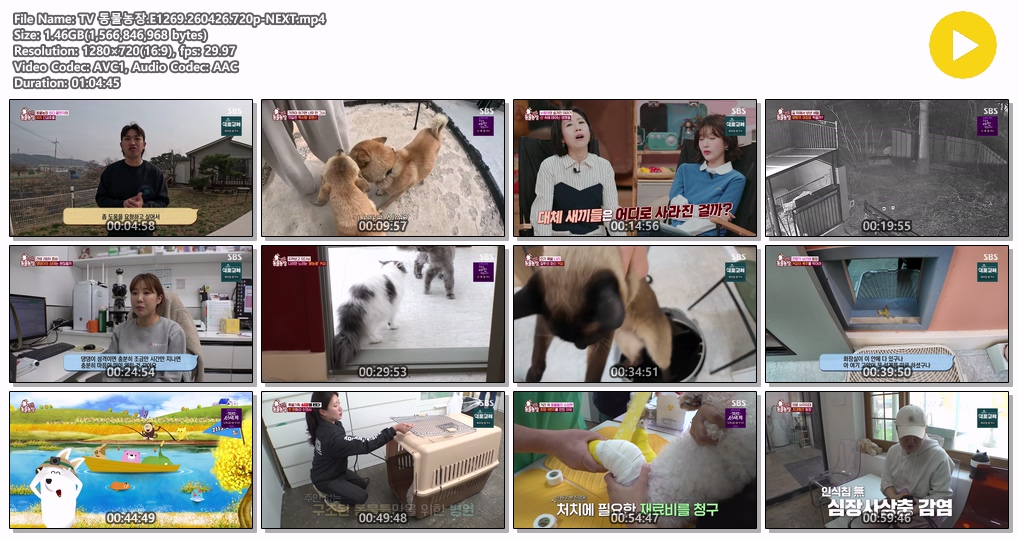 TV 동물농장.E1269.260426.720p-NEXT