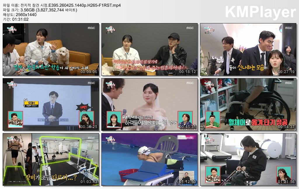 전지적 참견 시점.E395.260425.1440p.H265-F1RST