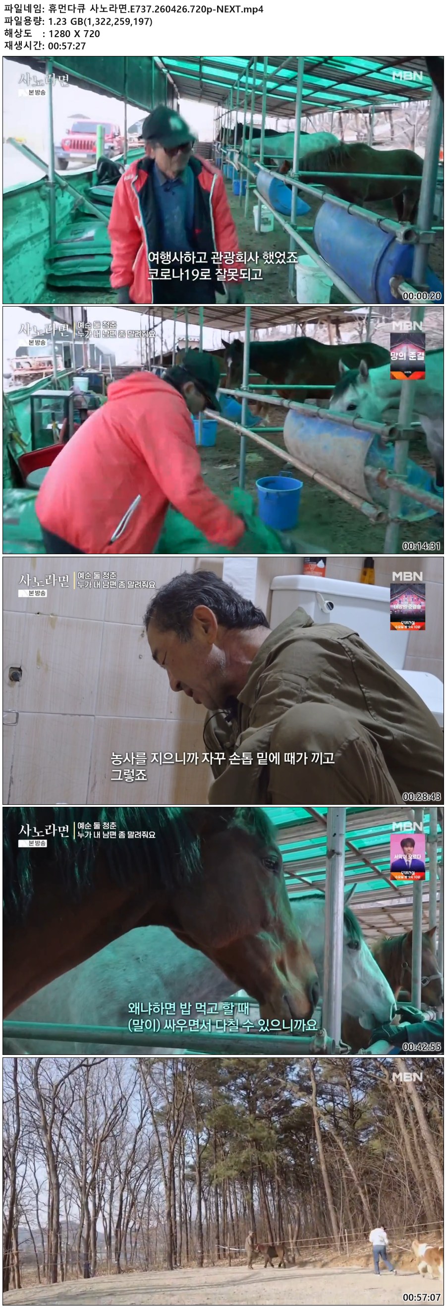 휴먼다큐 사노라면.E737.260426.720p-NEXT