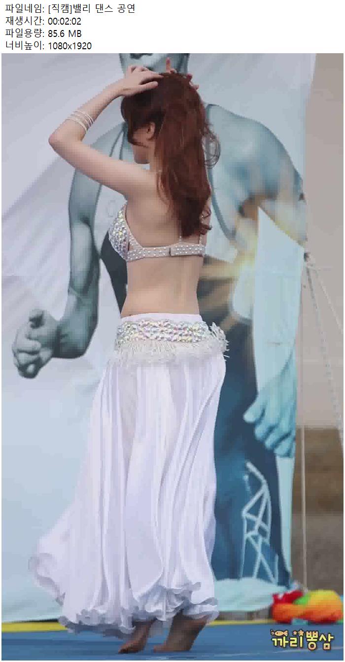 [직캠]밸리 댄스 공연