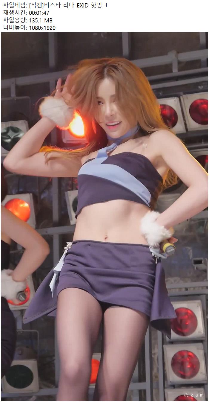 [직캠]비스타 리나-EXID 핫핑크