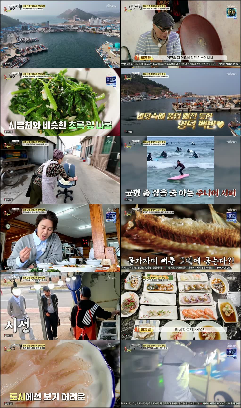 식객 허영만의 백반기행.E345.260426.720p-NEXT