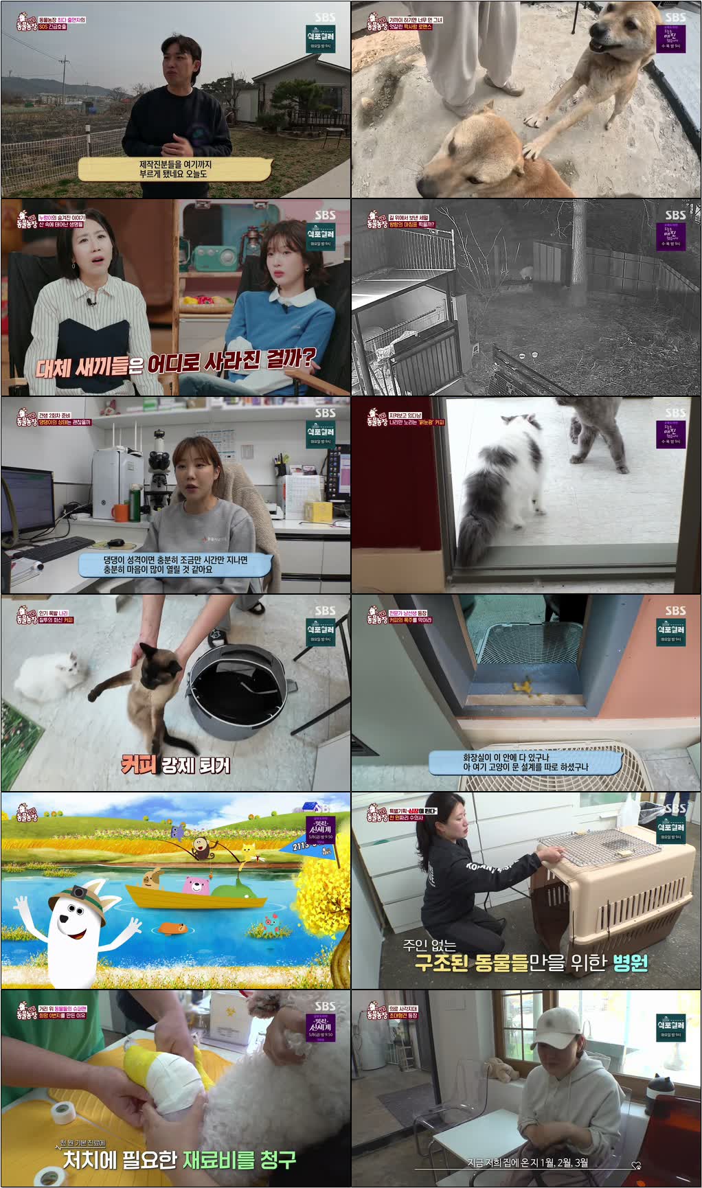 TV 동물농장.E1269.260426.720p-NEXT