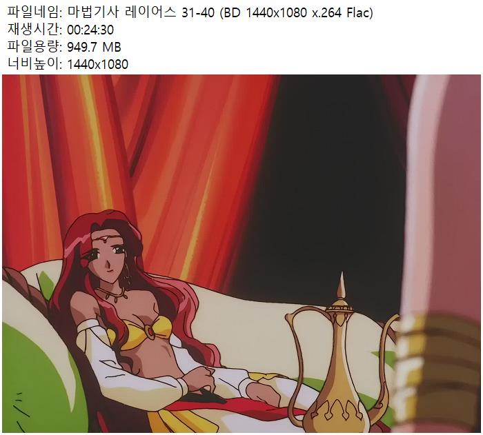 일반 마법기사 레이어스 31-40 (BD 1440x1080 x.264 Flac)