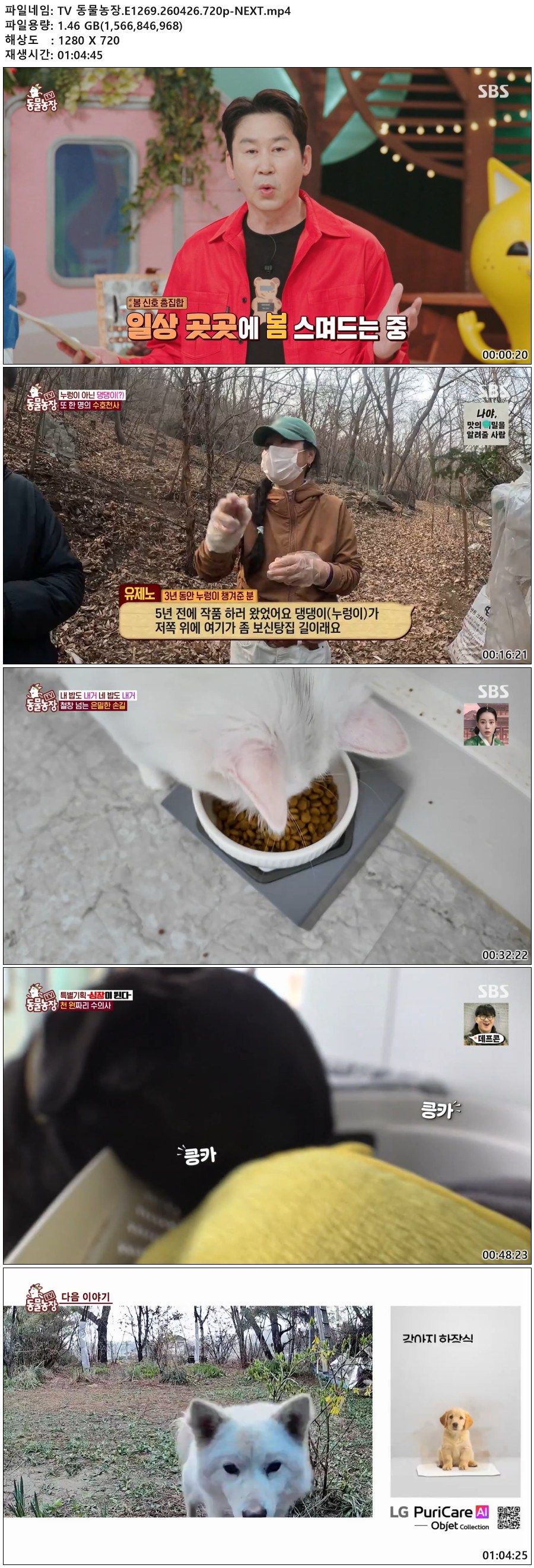 TV 동물농장.E1269.260426.720p-NEXT