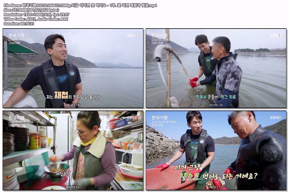 한국기행.E4210.260427.1080p.지금 아니면 못 먹어요 - 1부. 꽃 피면 재첩과 벚굴