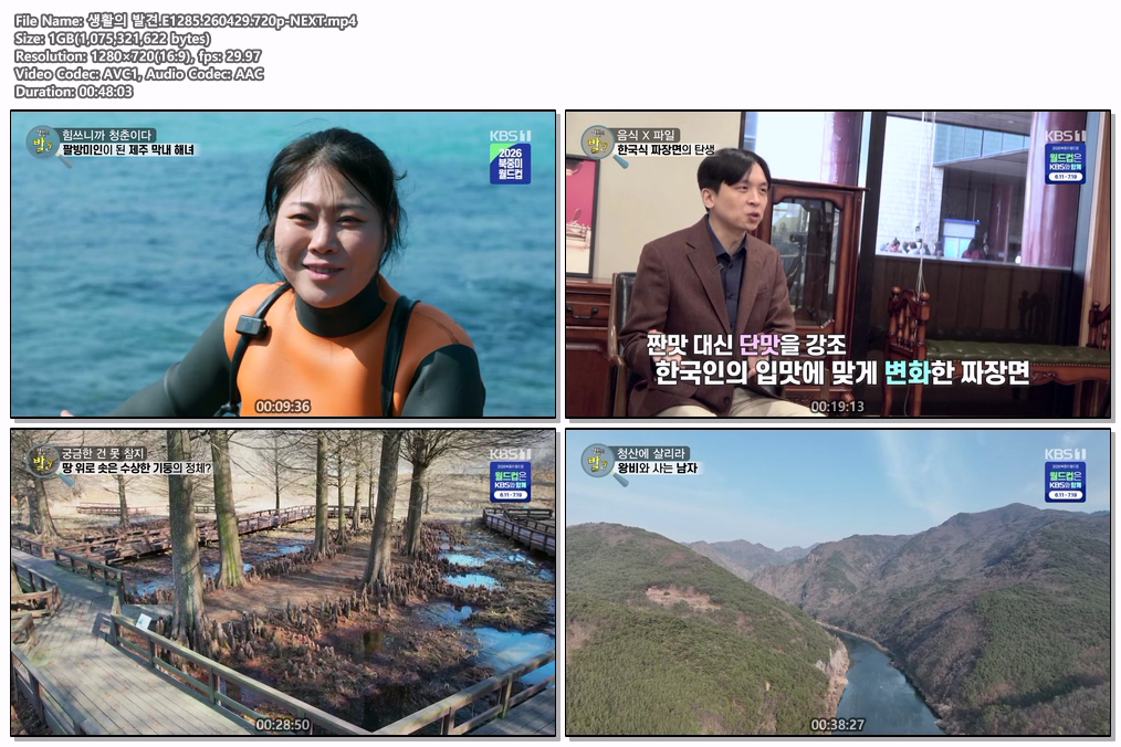 생활의 발견.E1285.260429.720p-NEXT