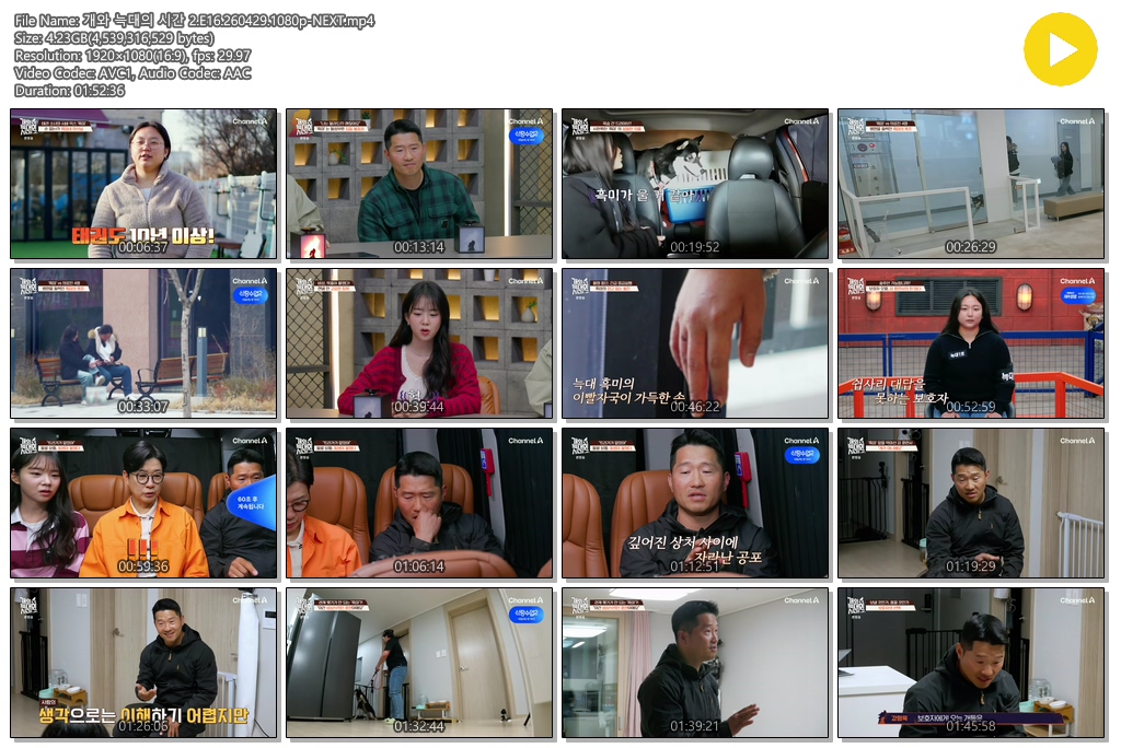 개와 늑대의 시간 2.E16.260429.1080p-NEXT