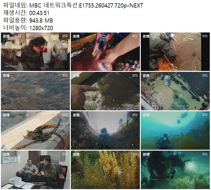 MBC 네트워크특선.E1755.260427.720p-NEXT
