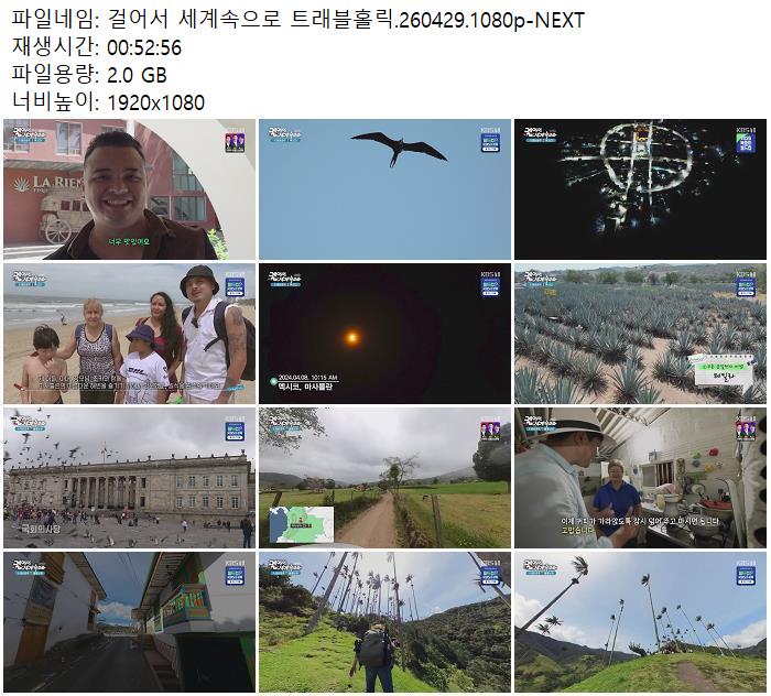 걸어서 세계속으로 트래블홀릭.260429.1080p-NEXT