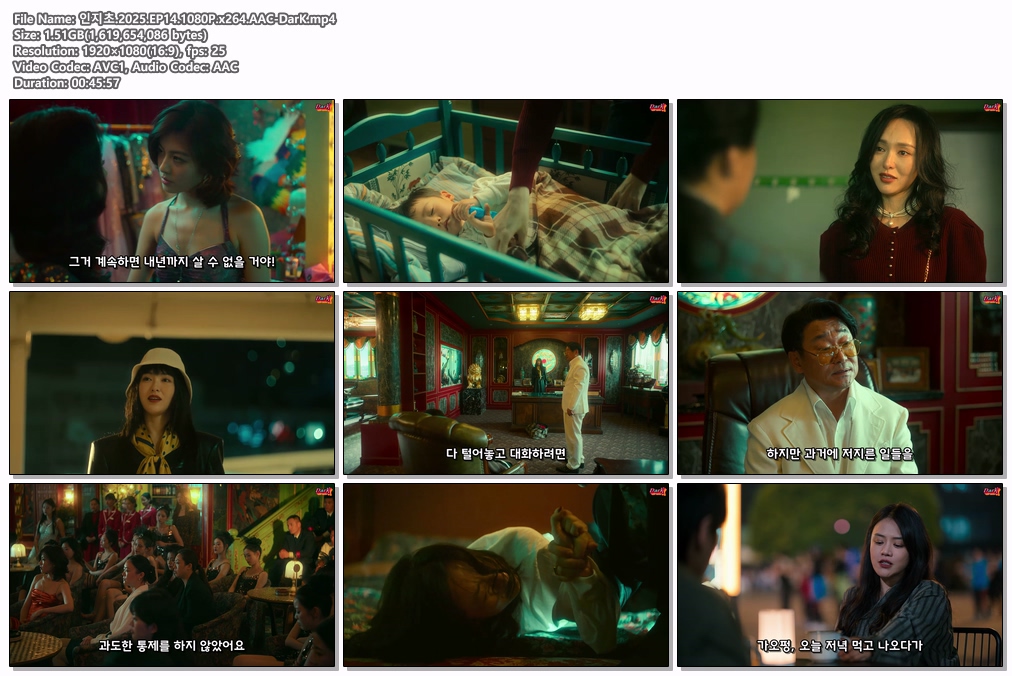 인지초.2025.EP14.1080P.x264.AAC-DarK