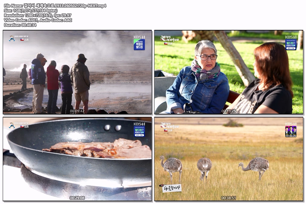 걸어서 세계속으로 트래블홀릭.260501.1080p-NEXT