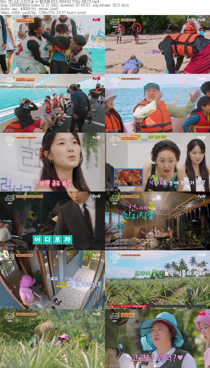 언니네 산지직송 in 칼라페.E03.260430.720p-NEXT
