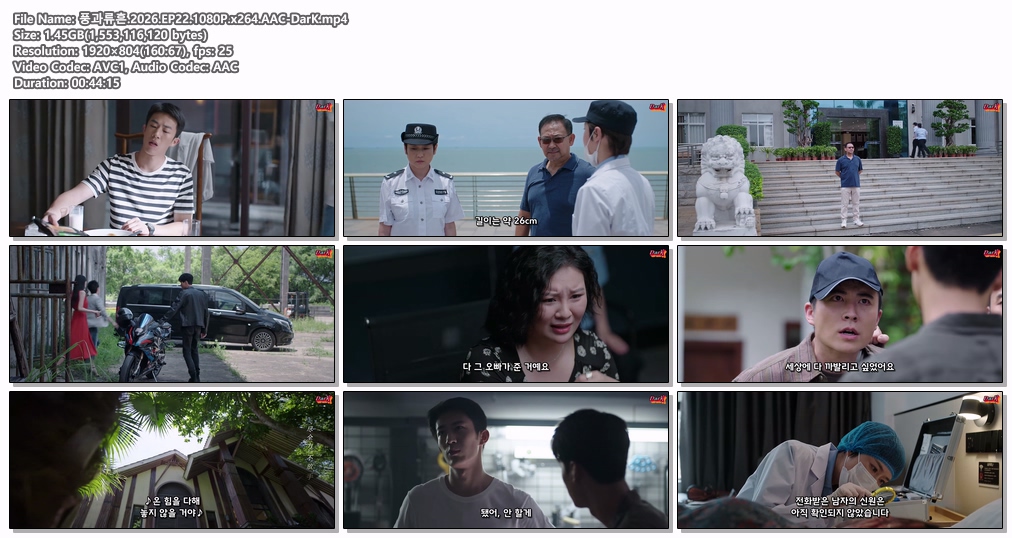 풍과류흔.2026.EP22.1080P.x264.AAC-DarK