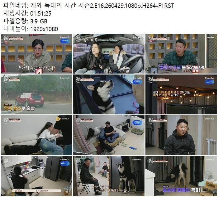 개와 늑대의 시간 시즌2.E16.260429.1080p.H264-F1RST