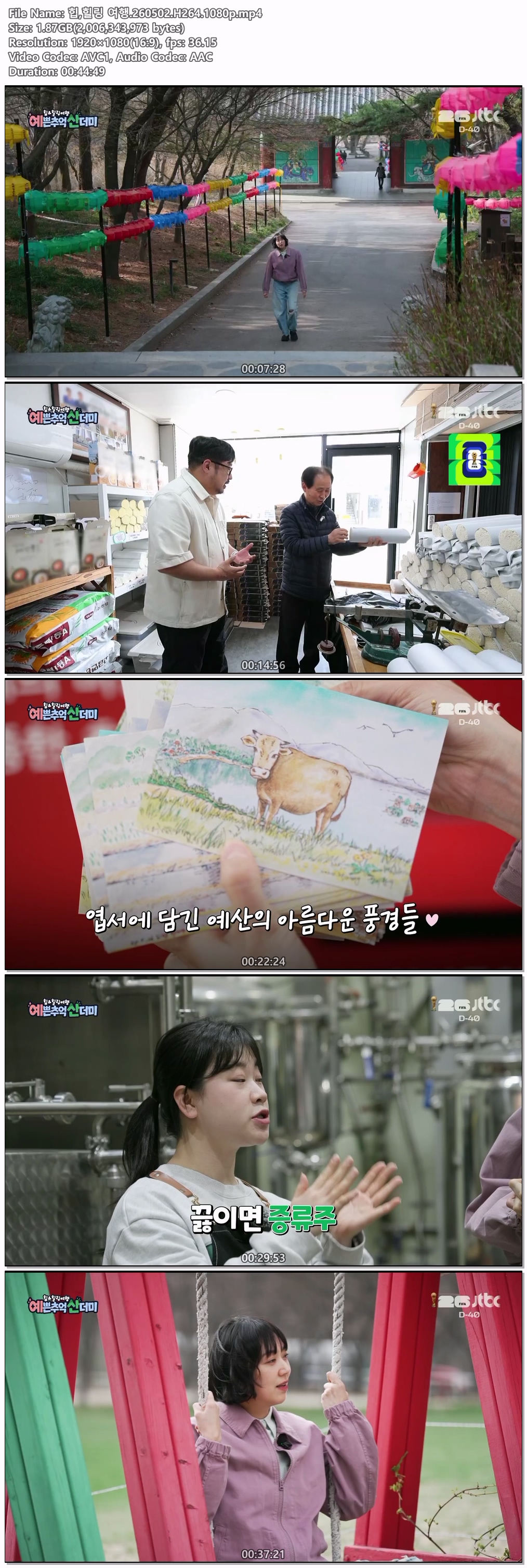 힙,힐링 여행.260502.H264.1080p