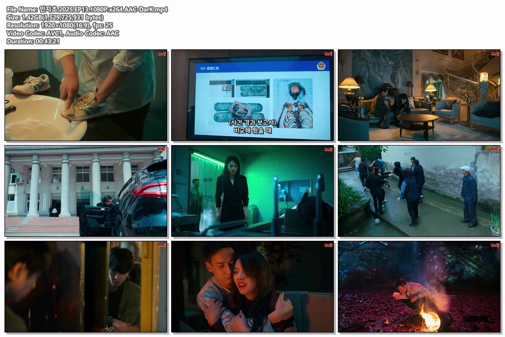 인지초.2025.EP13.1080P.x264.AAC-DarK