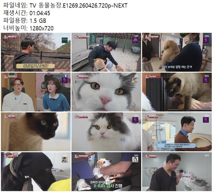 TV 동물농장.E1269.260426.720p-NEXT