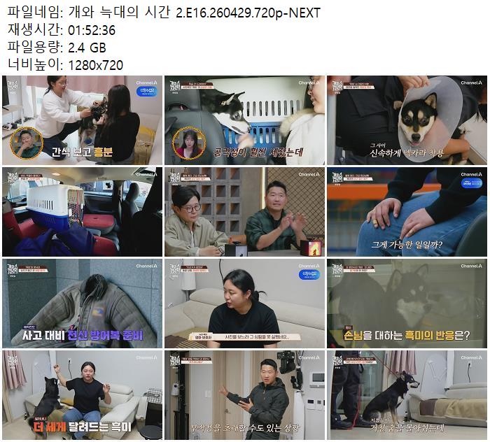 개와 늑대의 시간 2.E16.260429.720p-NEXT