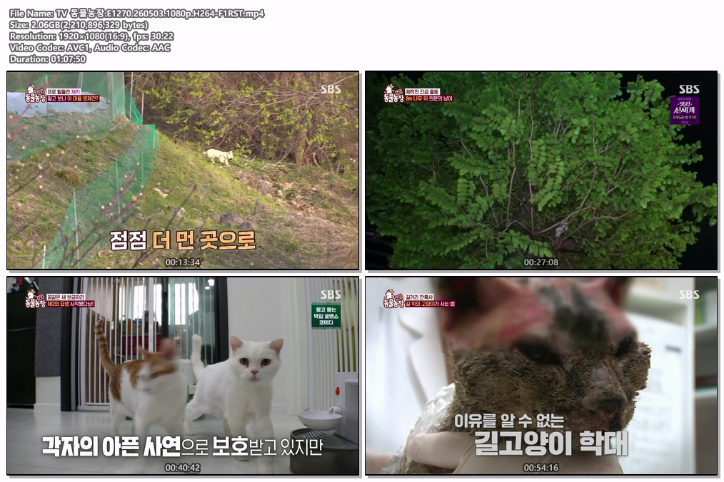TV 동물농장.E1270.260503.1080p.H264-F1RST