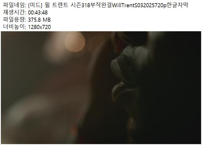 [미드] 윌 트렌트 시즌318부작완결WillTrentS032025720p한글자막