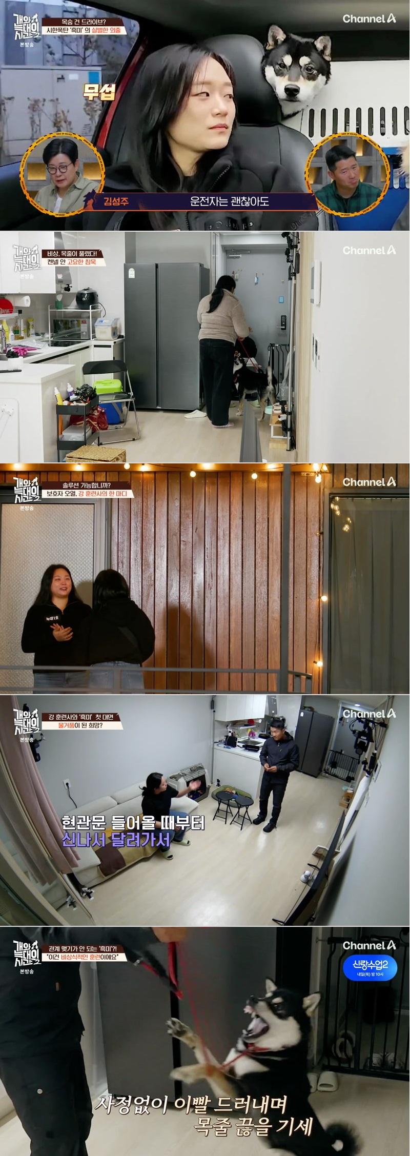 개와 늑대의 시간 시즌2.E16.260429.1080p.H264-F1RST