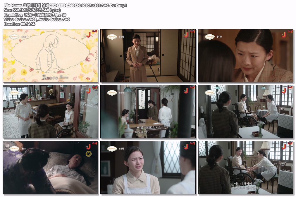 호랑이에게 날개.2024.EP84-85.2604..