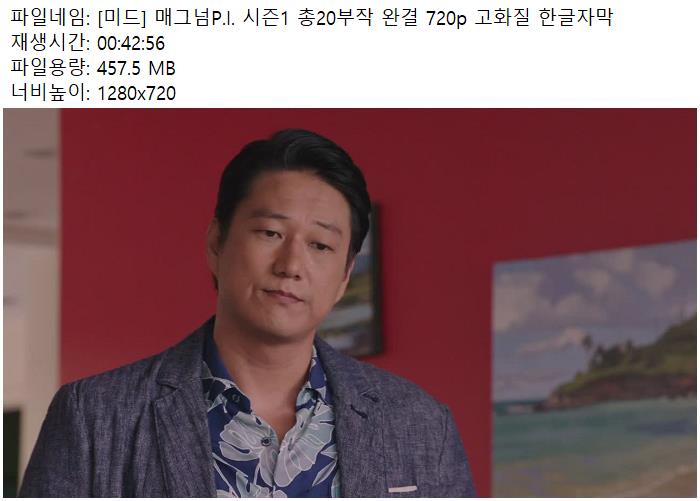 [미드] 매그넘P.I. 시즌1 총20부작 완결 720p 고화질 한글자막