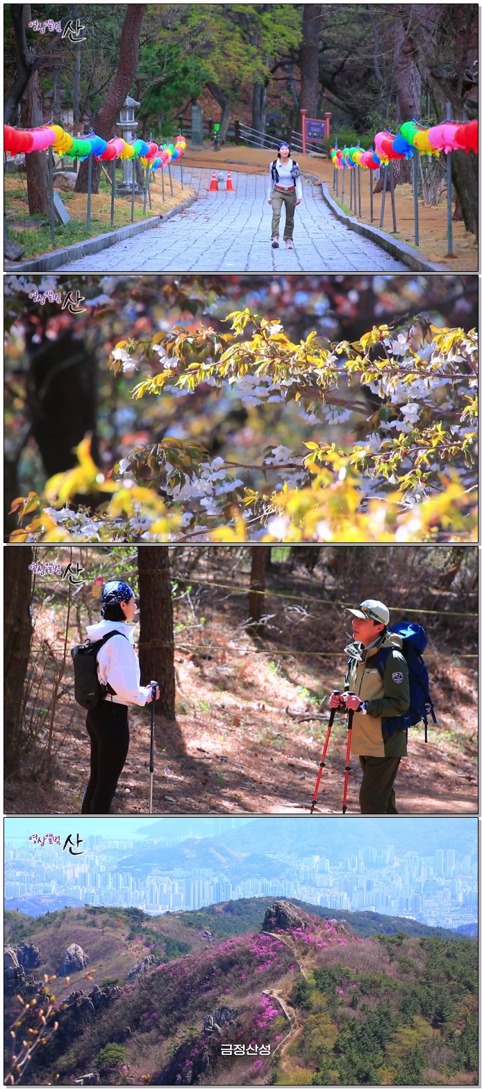 영상앨범 산.E1038.260503.1080p.WEB-DL.H264.AAC