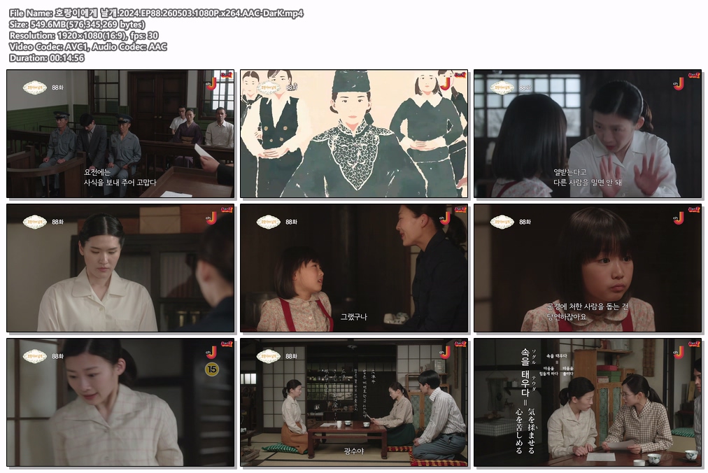 호랑이에게 날개.2024.EP88.260503.1080P.x264.AAC-DarK