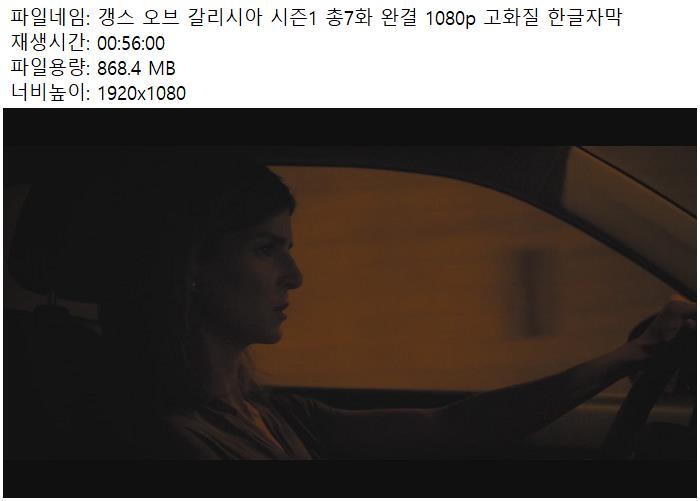 갱스 오브 갈리시아 시즌1 총7화 완결 1080p 고화질 한글자막