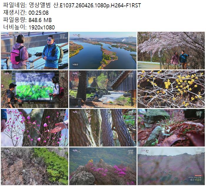 영상앨범 산.E1037.260426.1080p.H264-F1RST