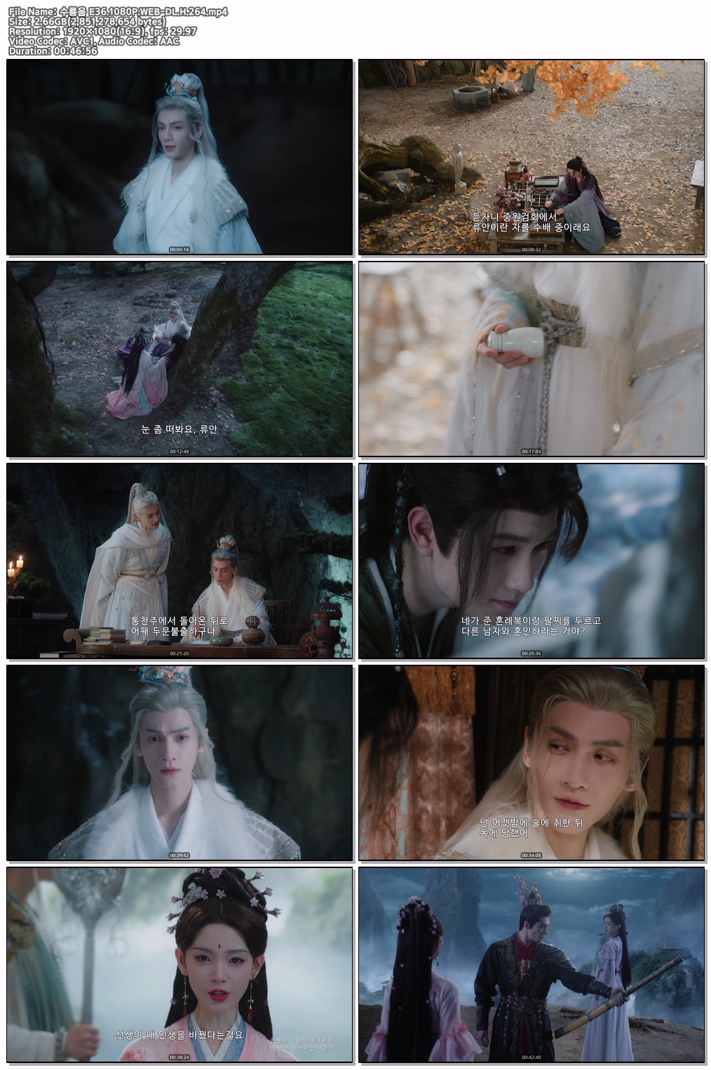 수룡음 2025 E36~E40 END [1080..