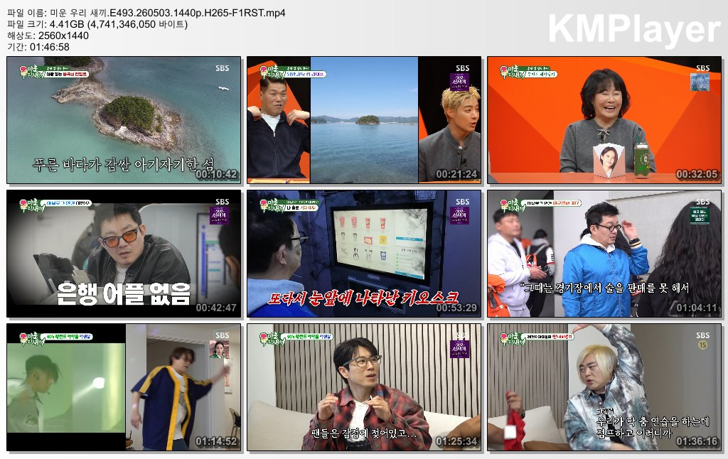 미운 우리 새끼.E493.260503.1440p.H265-F1RST