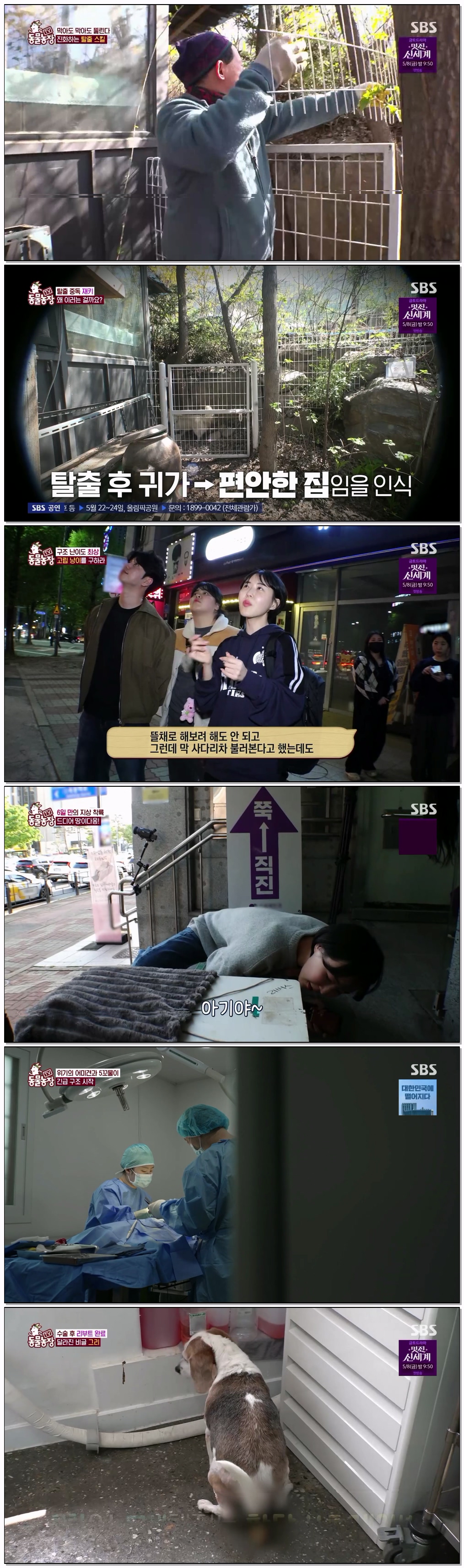 TV 동물농장.E1270.260503.1080p.H264-F1RST
