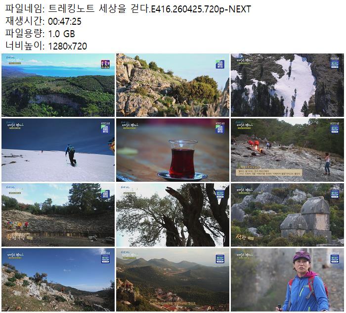 트레킹노트 세상을 걷다.E416.260425.720p-NEXT