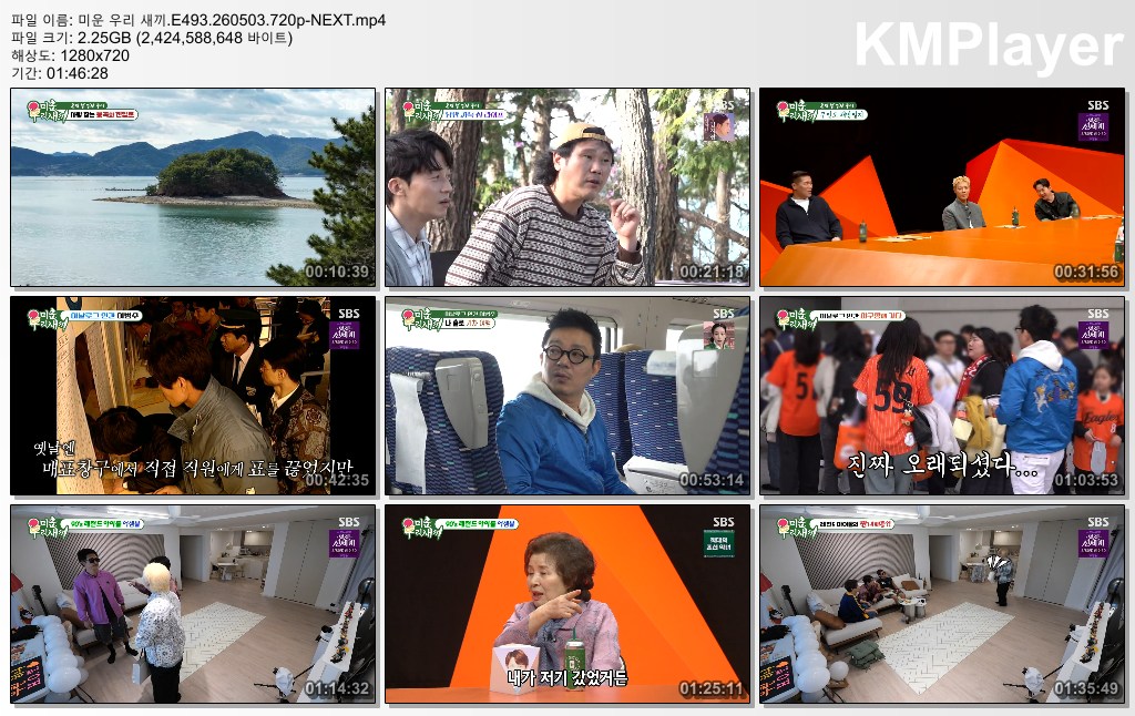 미운 우리 새끼.E493.260503.720p-NEXT