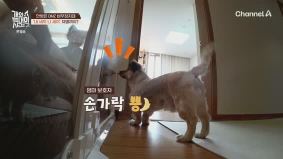 개와 늑대의 시간 시즌2.E15.260422.1080p.H264-F1RST