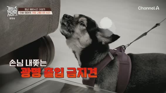 개와 늑대의 시간 시즌2.E14.260415.1080p.H264-F1RST