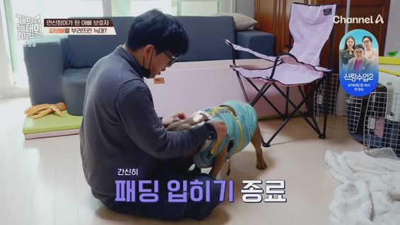 개와 늑대의 시간 시즌2.E10.260318.1080p.H264-F1RST