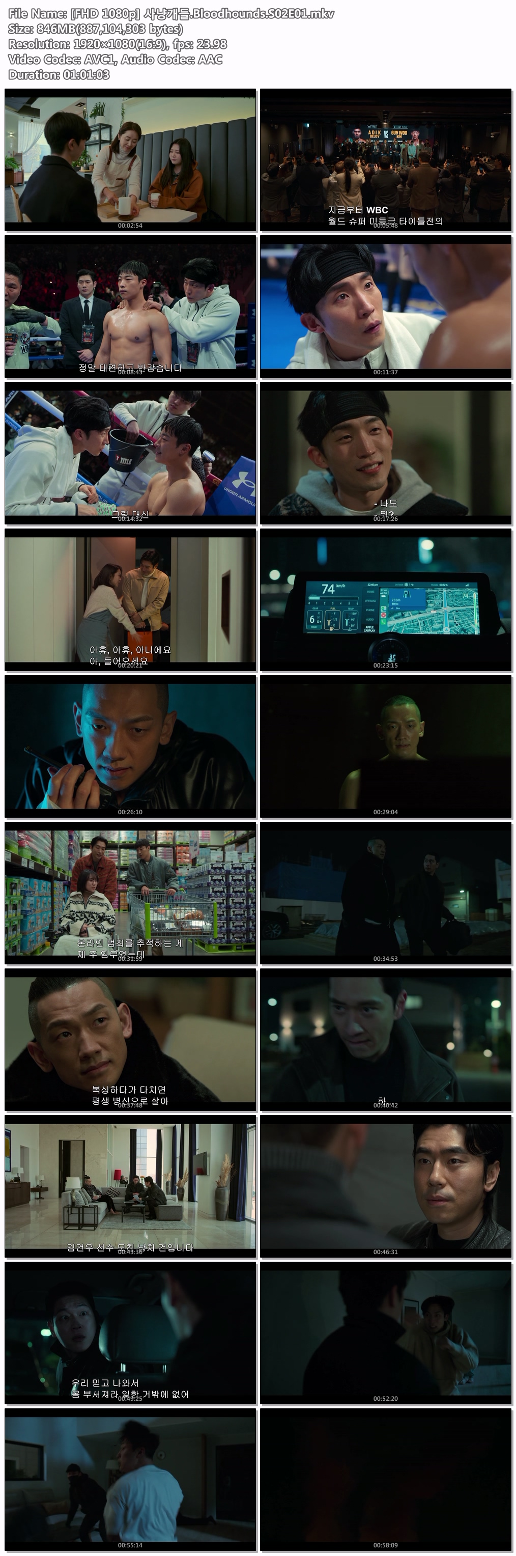 [NETFLIX] 사냥개들(Bloodhounds) 시즌2