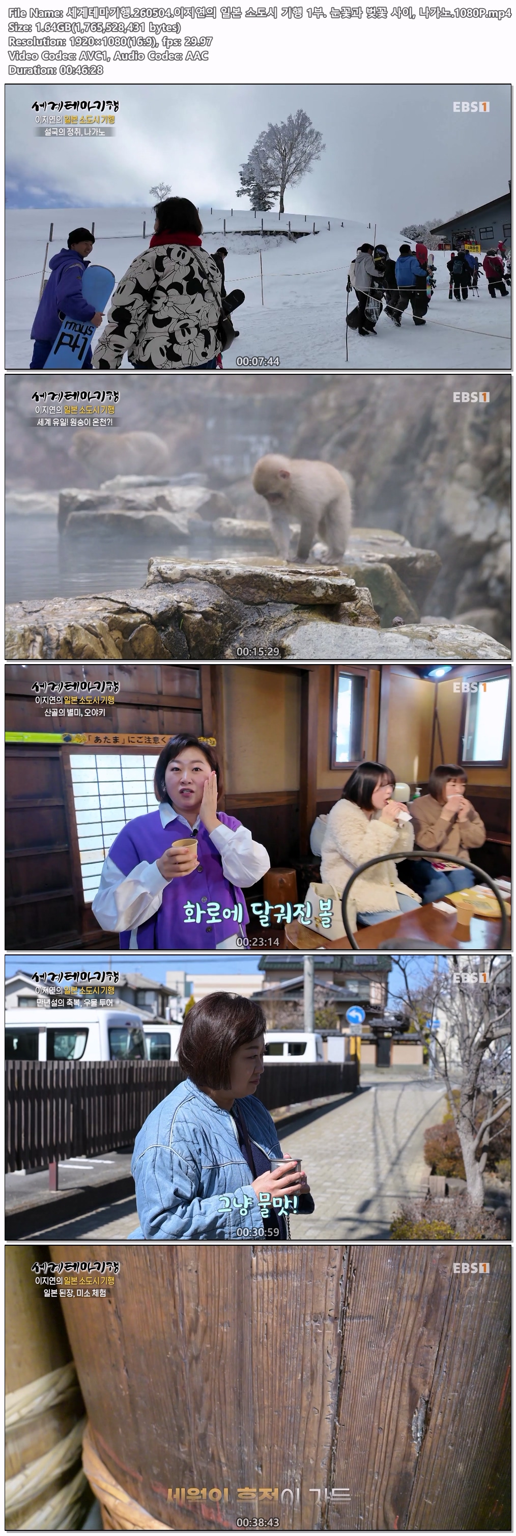 세계테마기행.260504.이지연의 일본 소도시 기행 1부. 눈꽃과 벚꽃 사이, 나가노.1080P