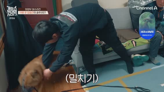 개와 늑대의 시간 시즌2.E03.260121.1080p.H264-F1RST