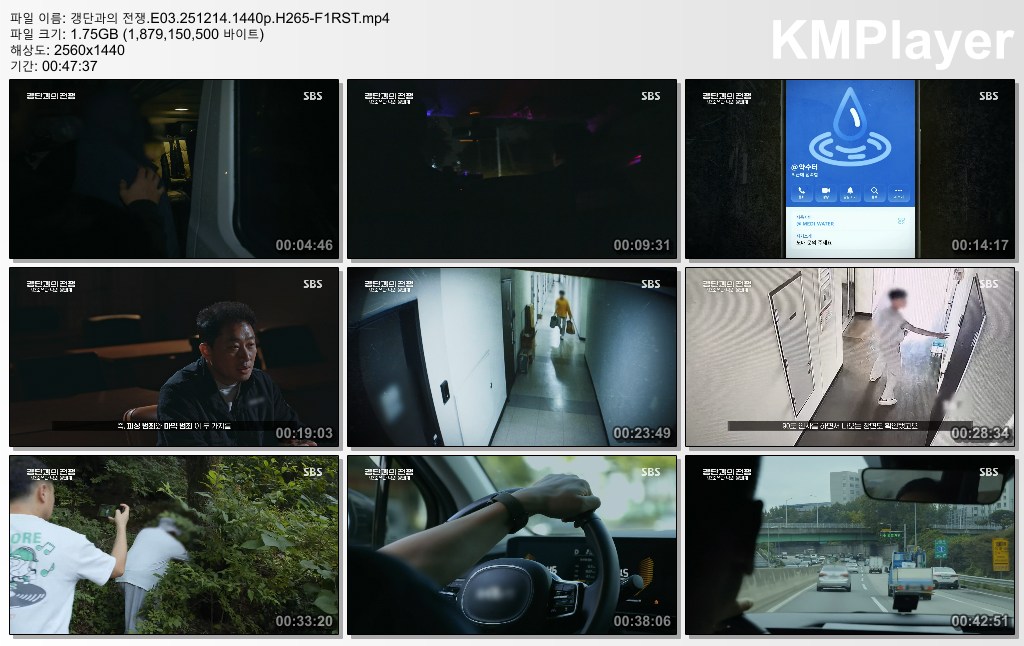 갱단과의 전쟁.E03.251214.1440p.H265-F1RST