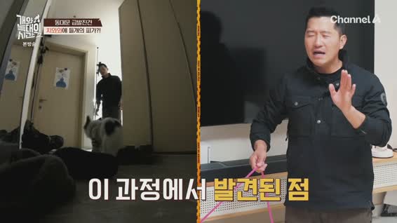 개와 늑대의 시간 시즌2.E02.260114.1080p.H264-F1RST