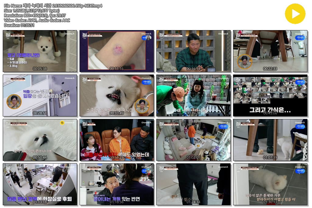 개와 늑대의 시간 2.E17.260506.450p-NEXT