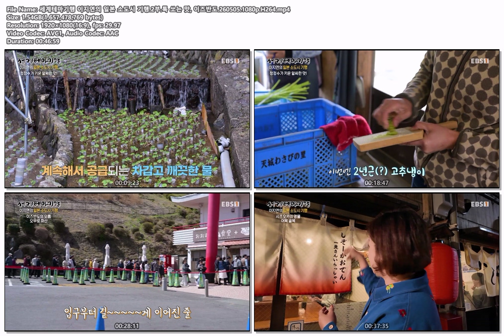 세계테마기행 이지연의 일본 소도시 기행.2부.톡 쏘는 맛, 이즈반도.260505.1080p.H264
